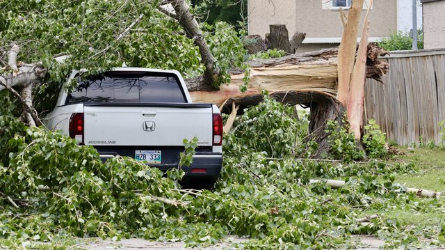Winnipeggers react to severe storm that left thousands without power