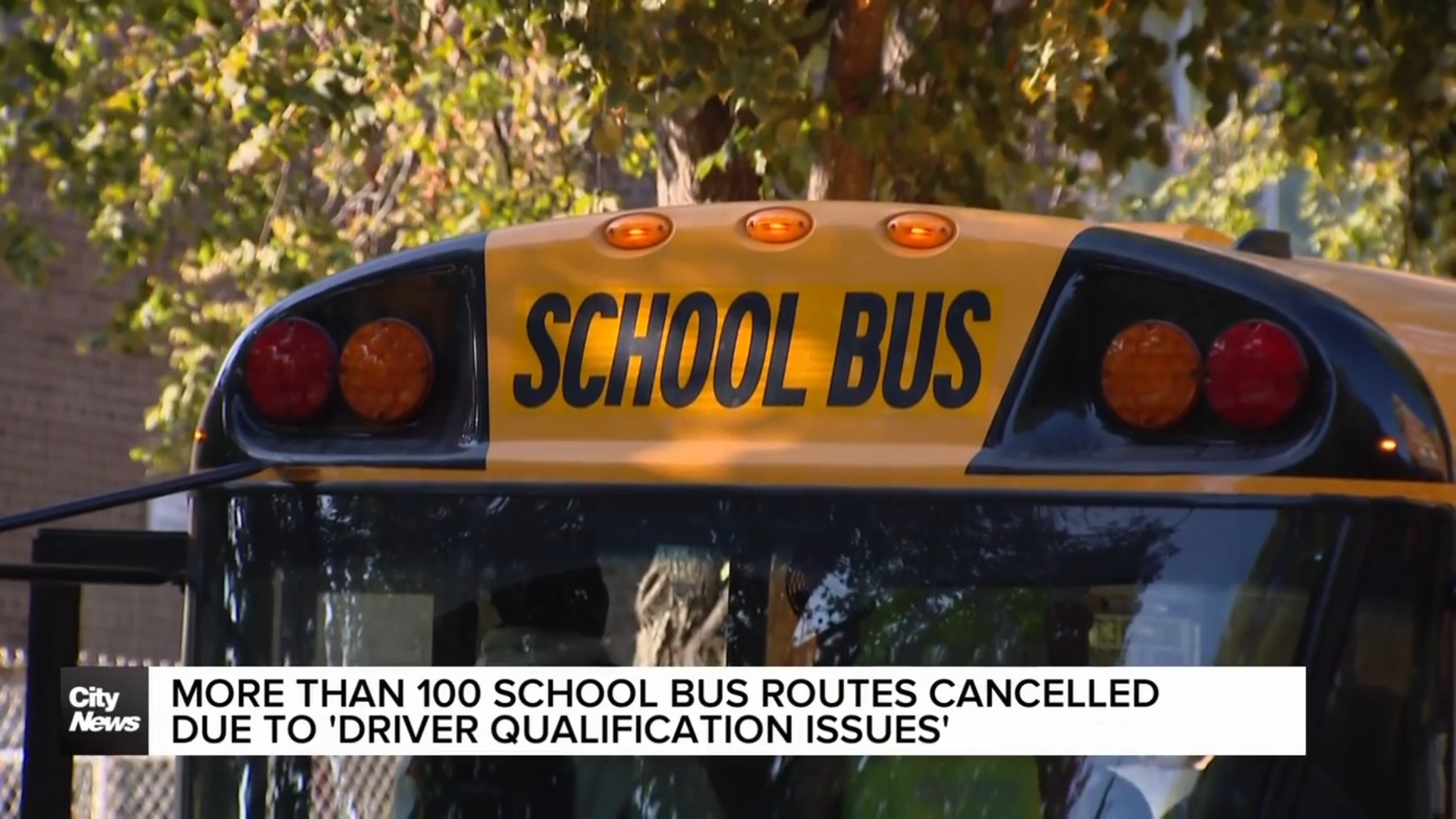 More than 100 school bus routes cancelled over 'driver certification issues'