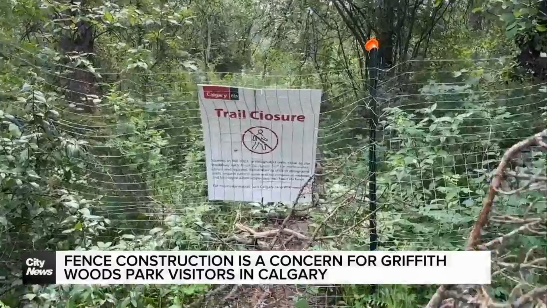 Fence construction is a concern for Griffith Woods Park visitors in Calgary