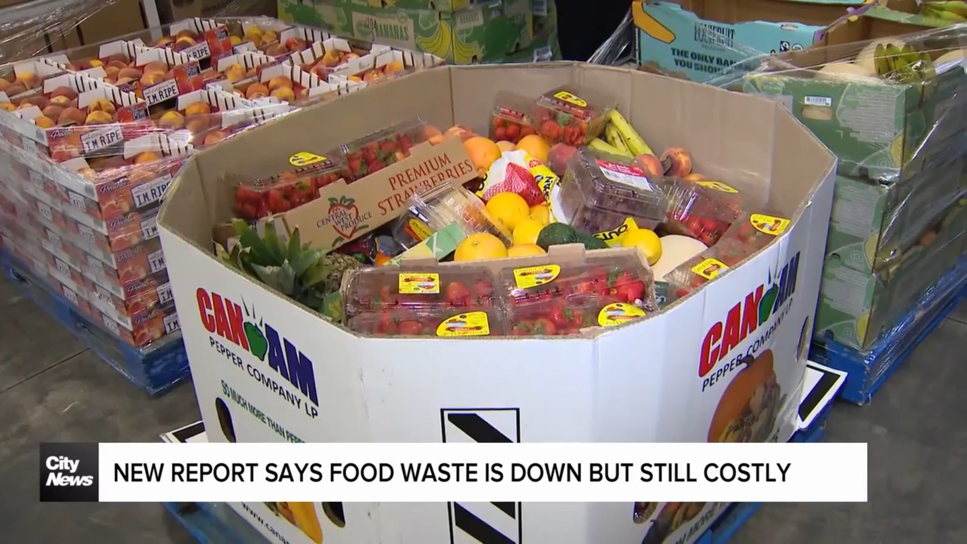 The high cost of food waste