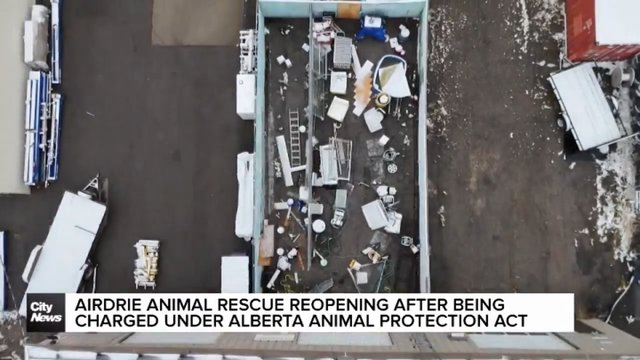 Airdrie animal rescue reopening after being charged under Alberta Animal Protection Act