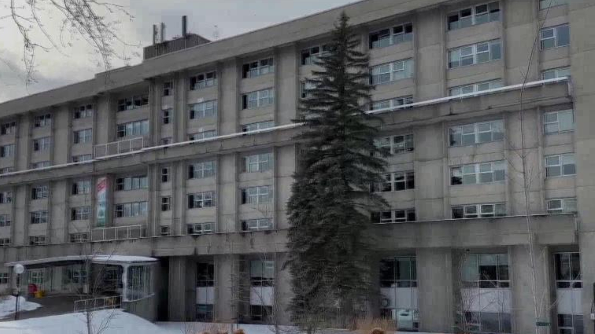 Montreal pilot shares farewell flight with daughter | CityNews Montreal