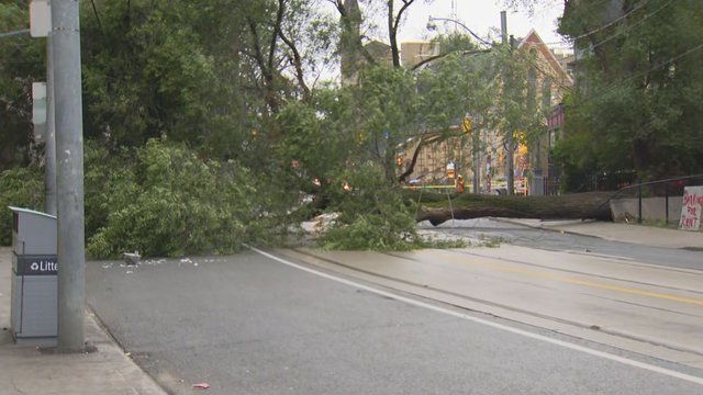 Downed tree knocks out power lines, prompts road closures on Dundas
