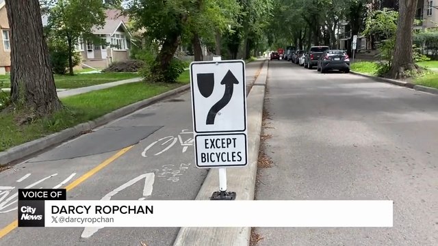 Edmonton city council not back pedalling on bike lane plan approved in 2022
