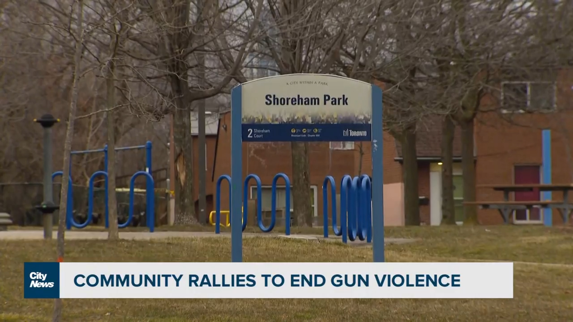North York neighbourhood not backing down in fight against gun violence