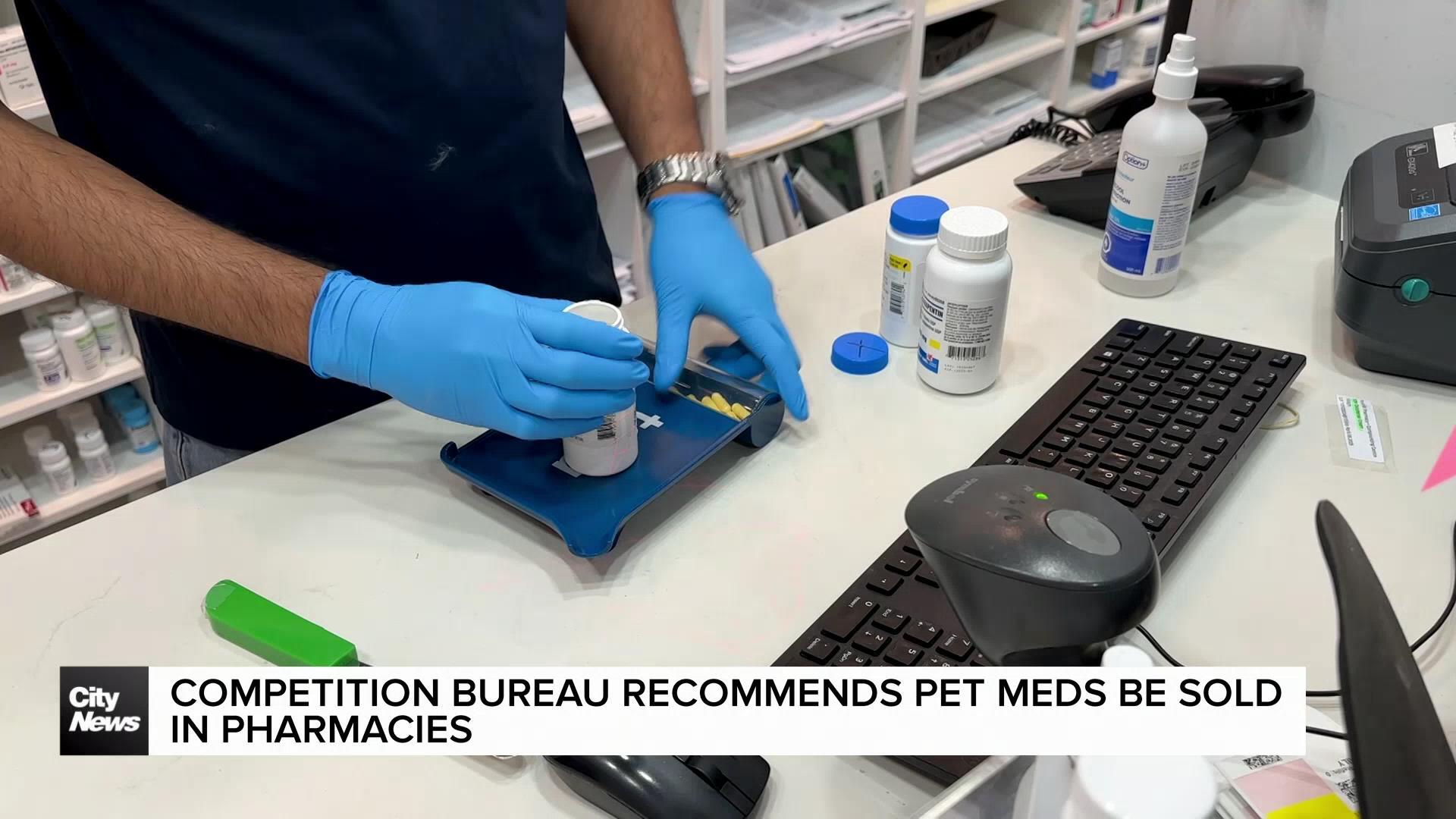 Competition Bureau recommends easier access to pet meds in pharmacies