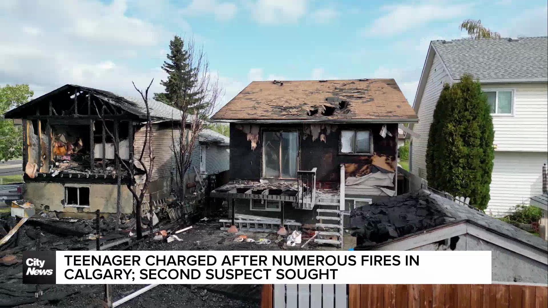 Teen charged for setting fires in SE Calgary neighbourhood; second teen sought