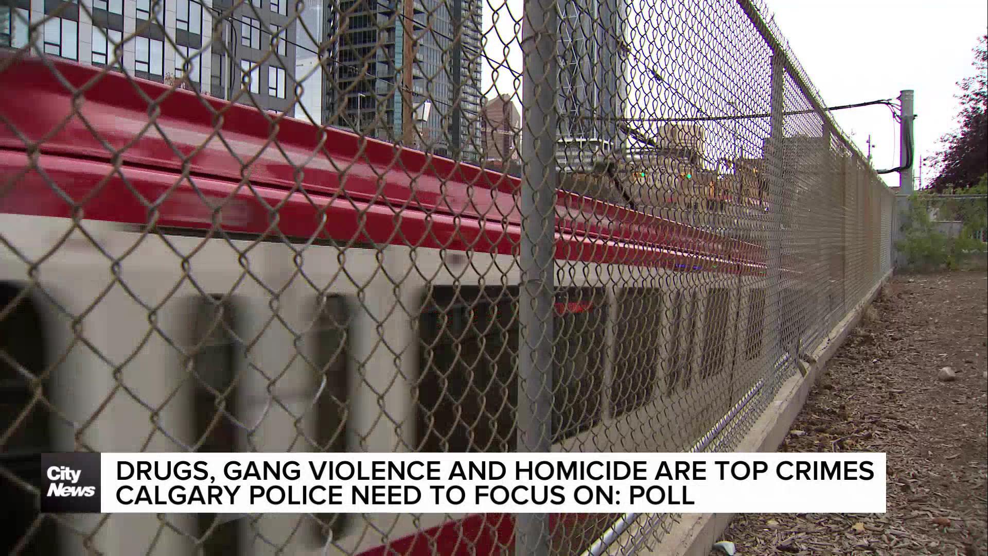 Drugs, gang violence and homicide are top crimes Calgary police need to focus on: poll