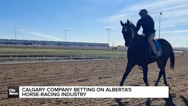 Calgary company betting on Alberta's horse-racing industry
