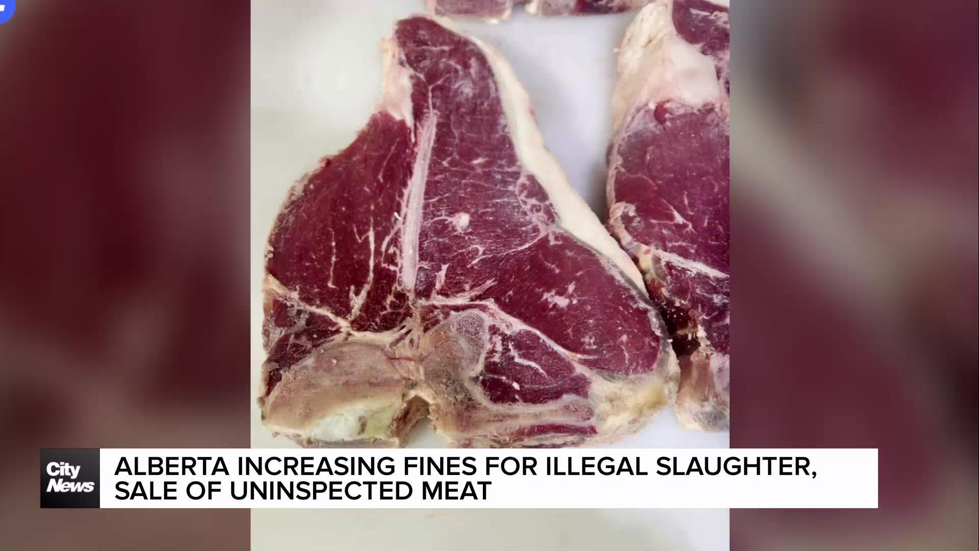 Alberta beefing up fines on illegal meat trade