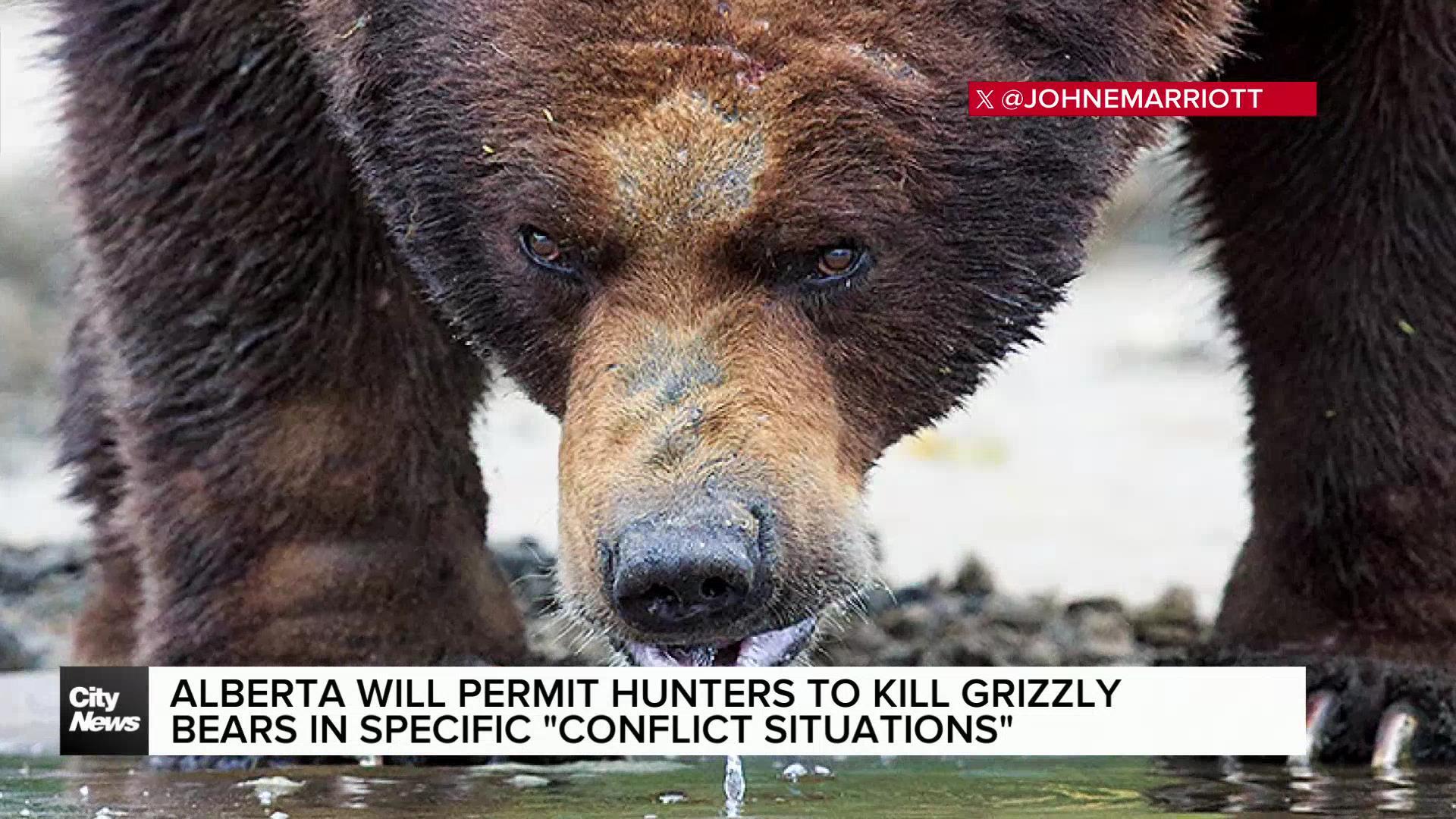 Alta. hunters can be permitted to kill grizzly bears