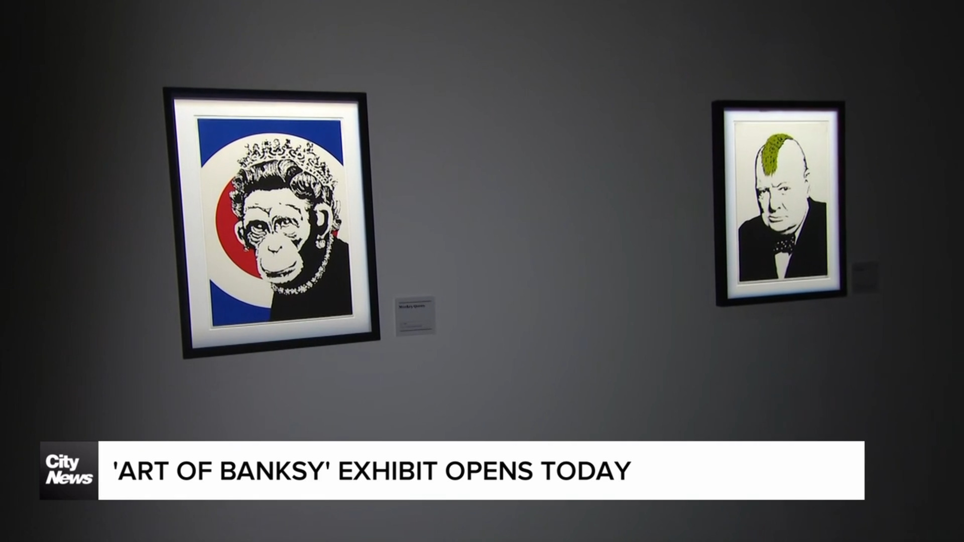 'Art of Banksy' exhibit opens in Toronto