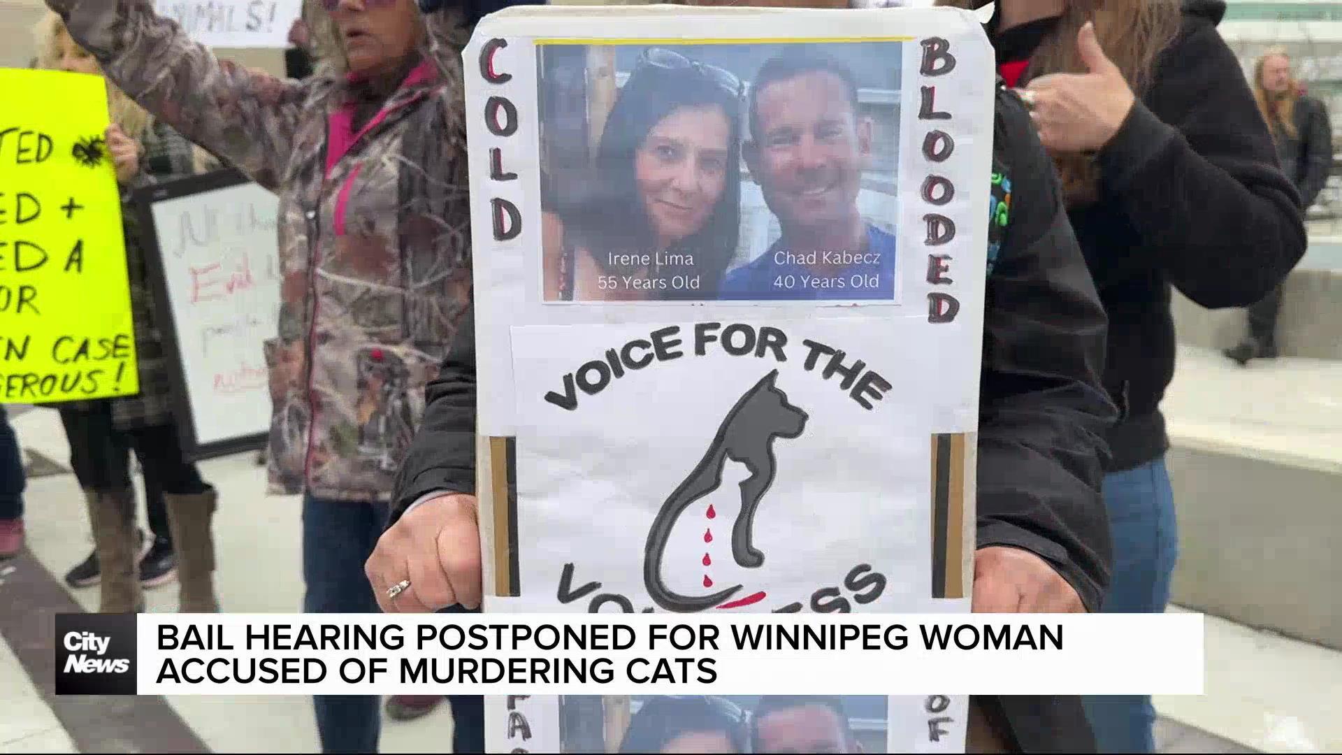 Bail hearing delayed for alleged cat murderer