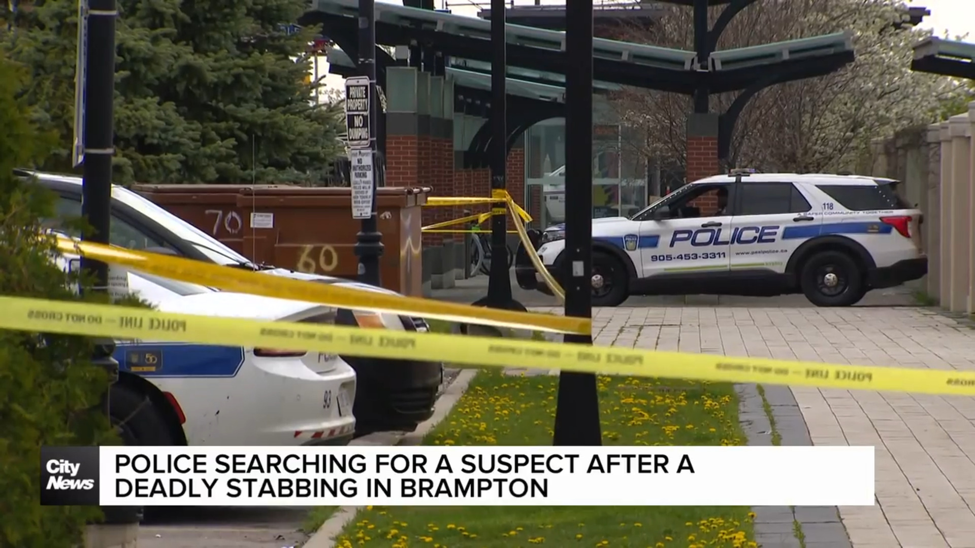 The hunt is on for a murder suspect after deadly stabbing in Brampton