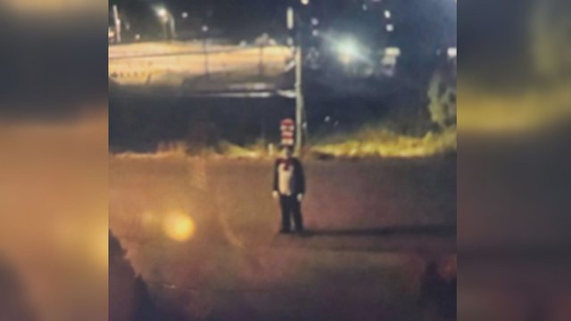 B.C. teen chased by person wearing Cat in the Hat costume