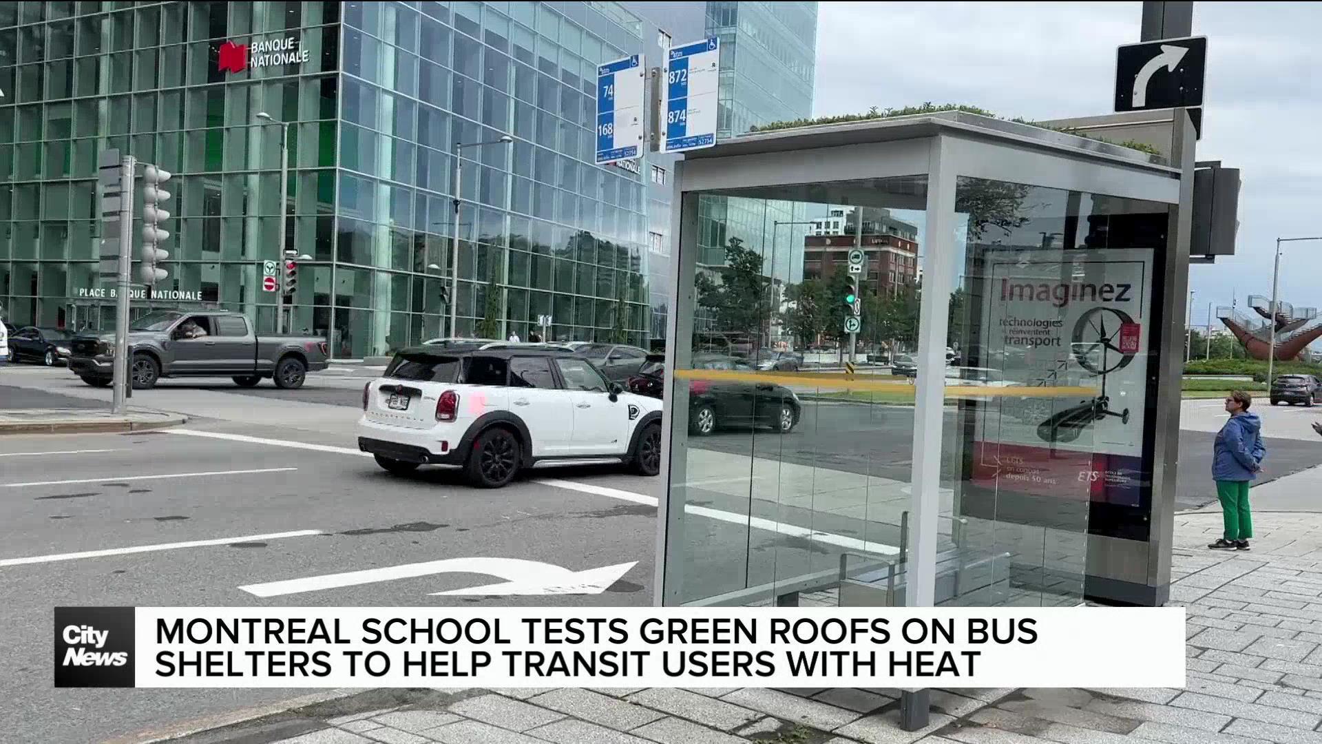 Montreal school tests green roofs on bus shelters to help with heat