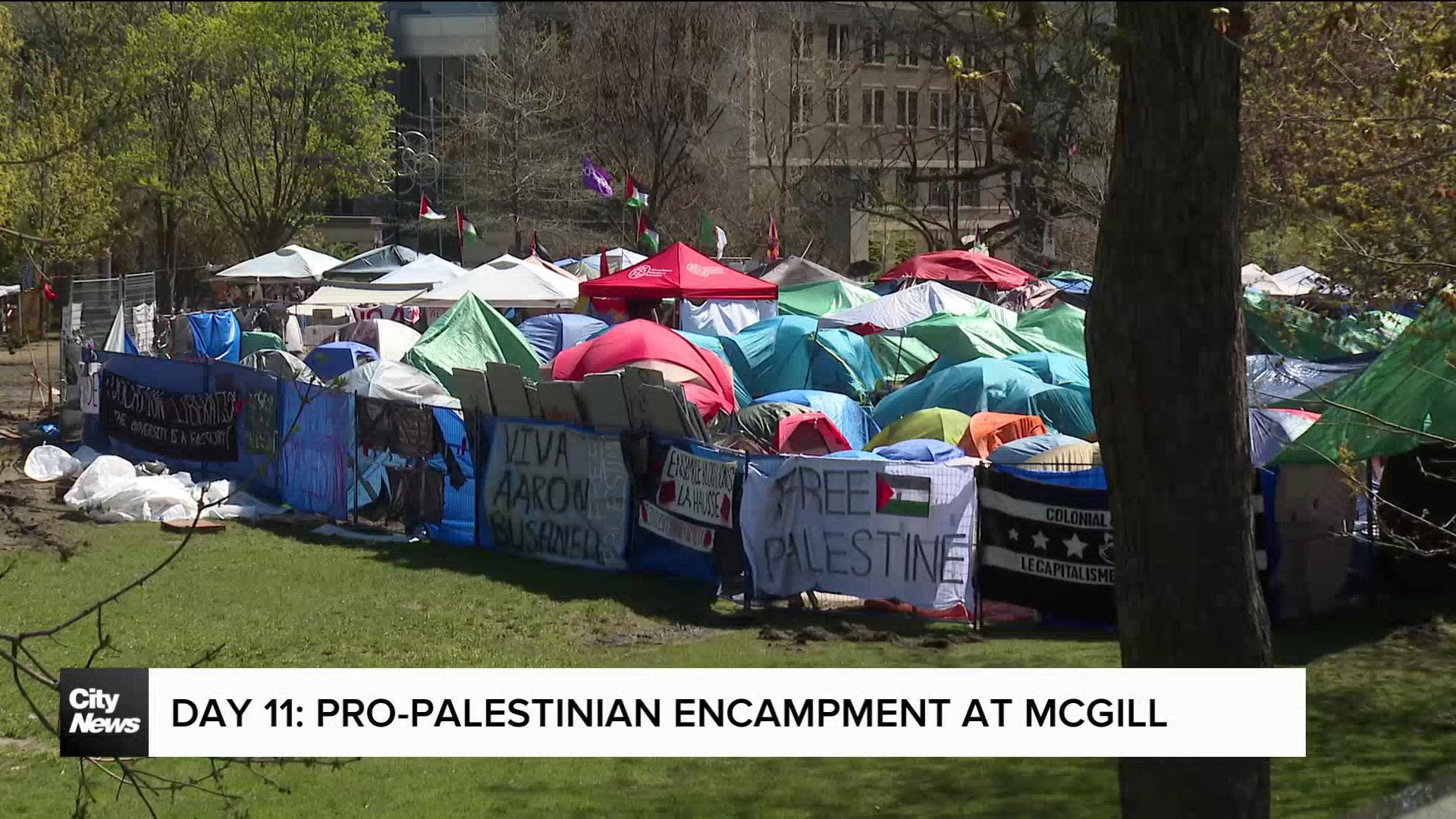 Pro-Palestinian encampment in Montreal welcomes community donations