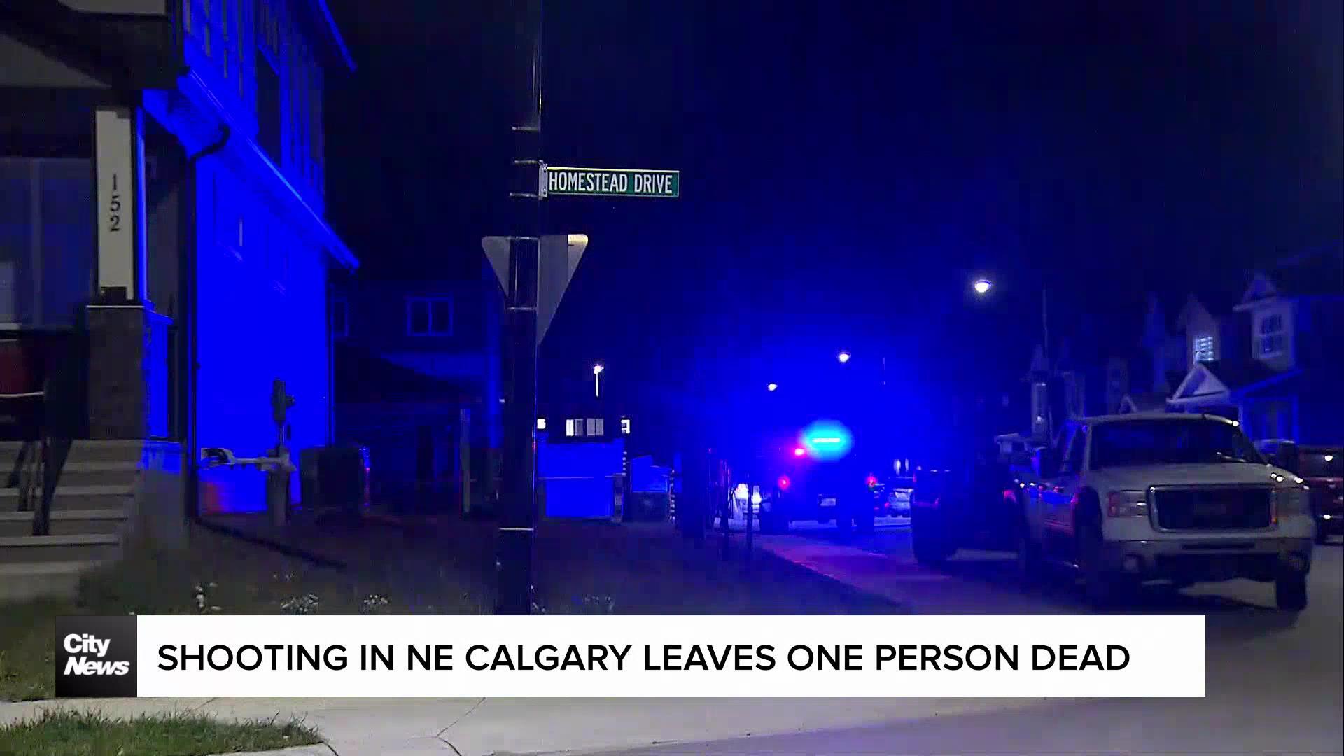 Shooting in NE Calgary leaves one person dead