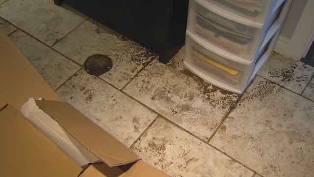 Storm waters flood residential basements