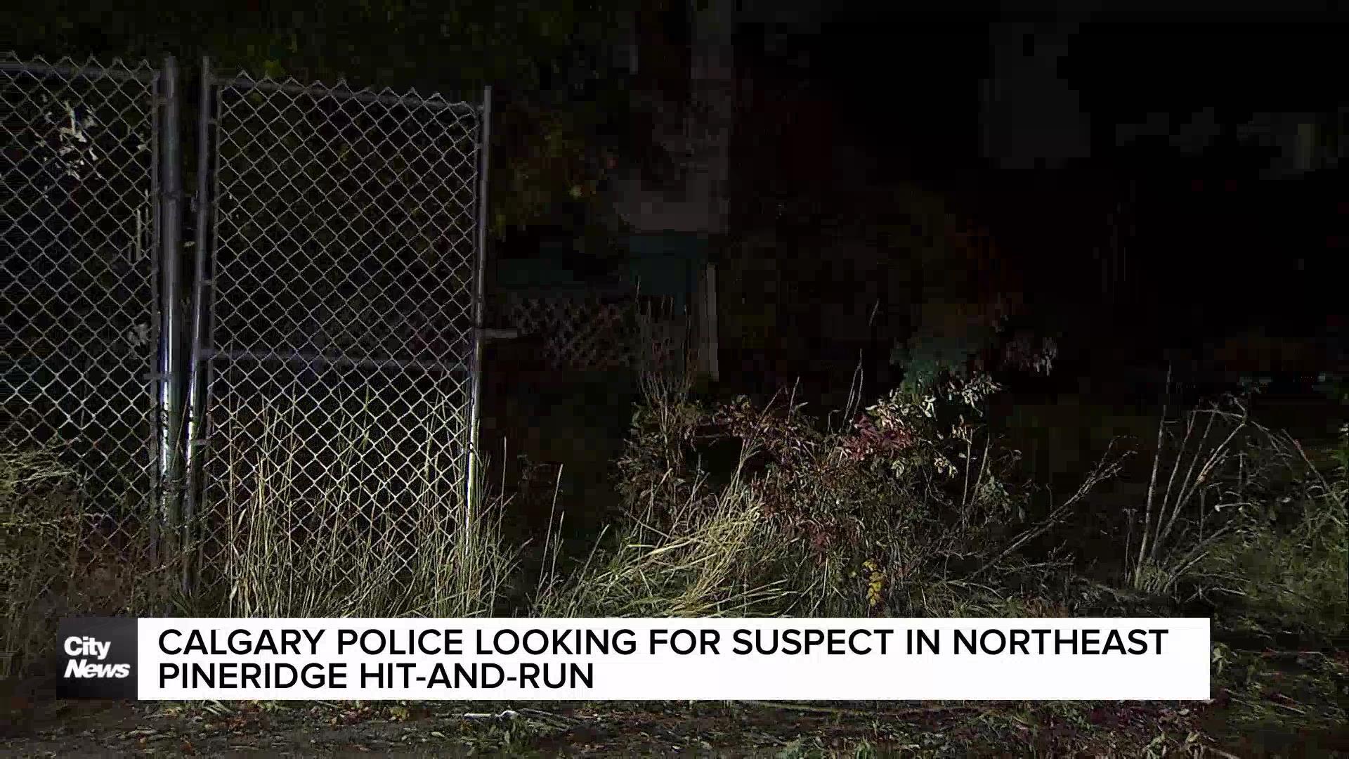 Suspect sought in NE Pineridge hit-and-run: Calgary police