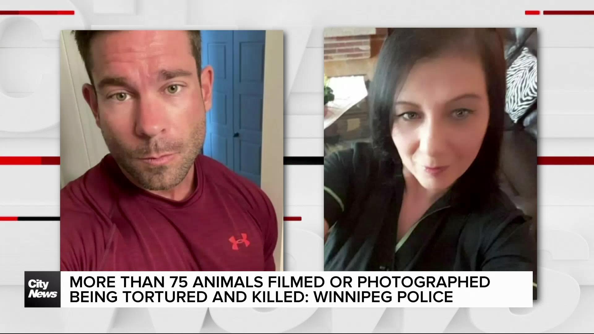 Winnipeg police release new details regarding alleged cat murderers