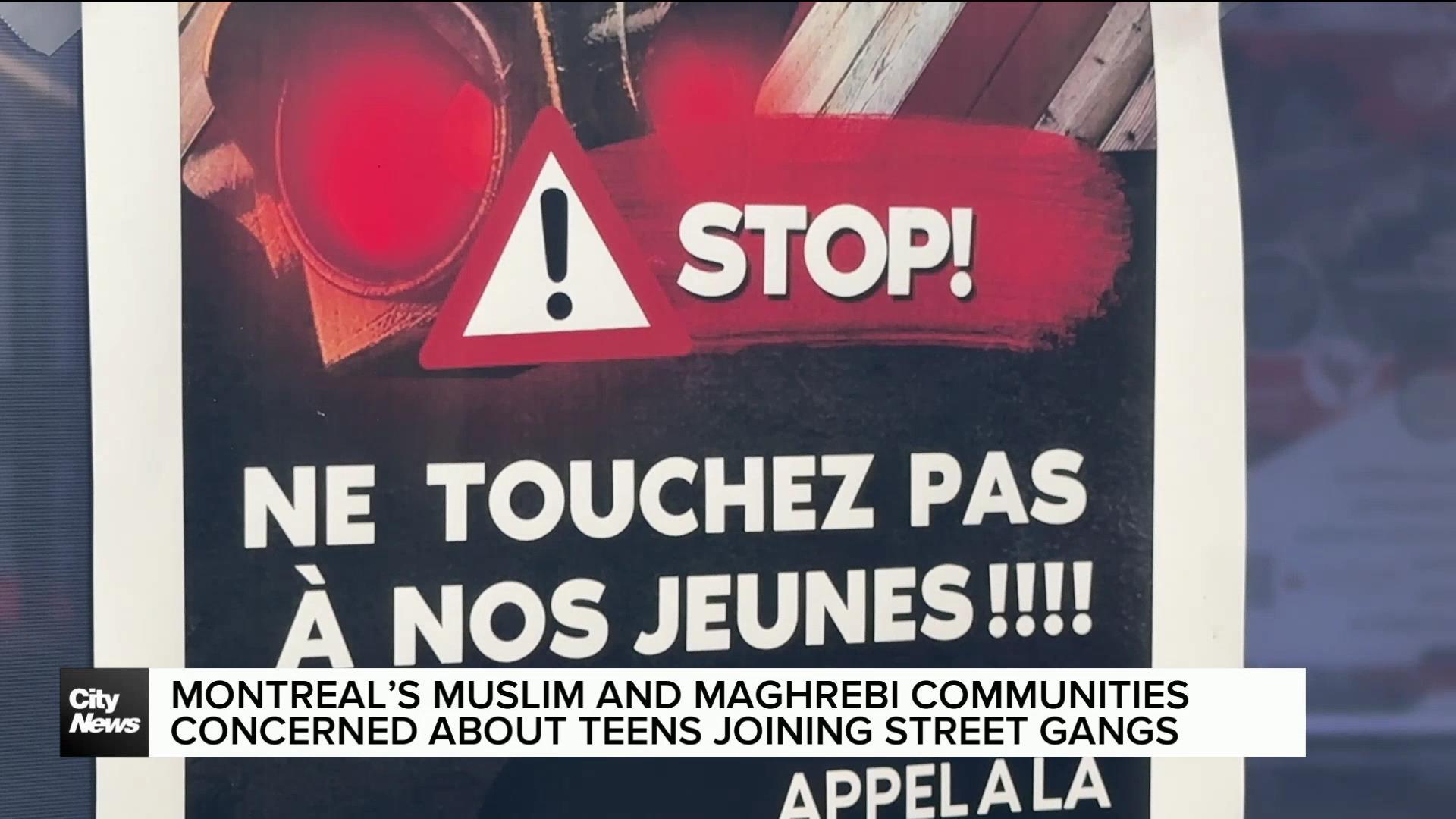 Montreal Maghrebi communities concerned about youth in street gangs