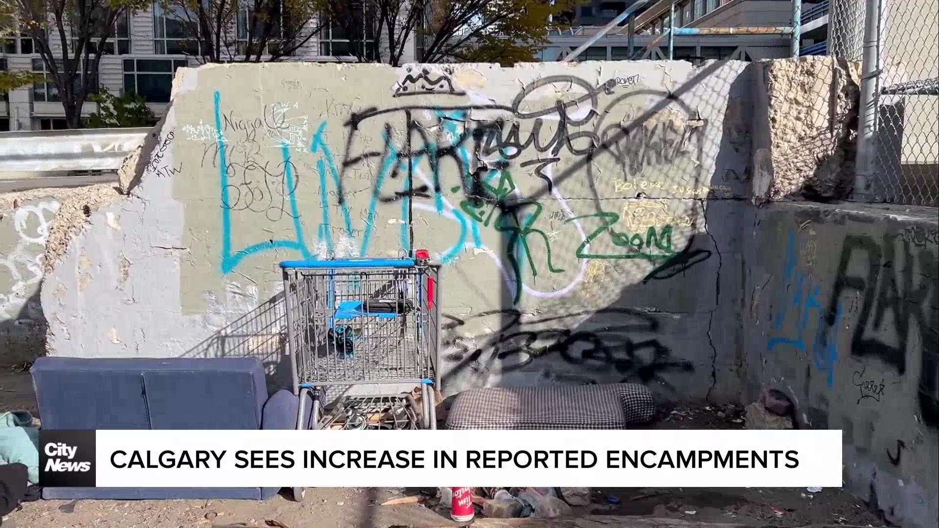 Calgary sees increase in reported encampments