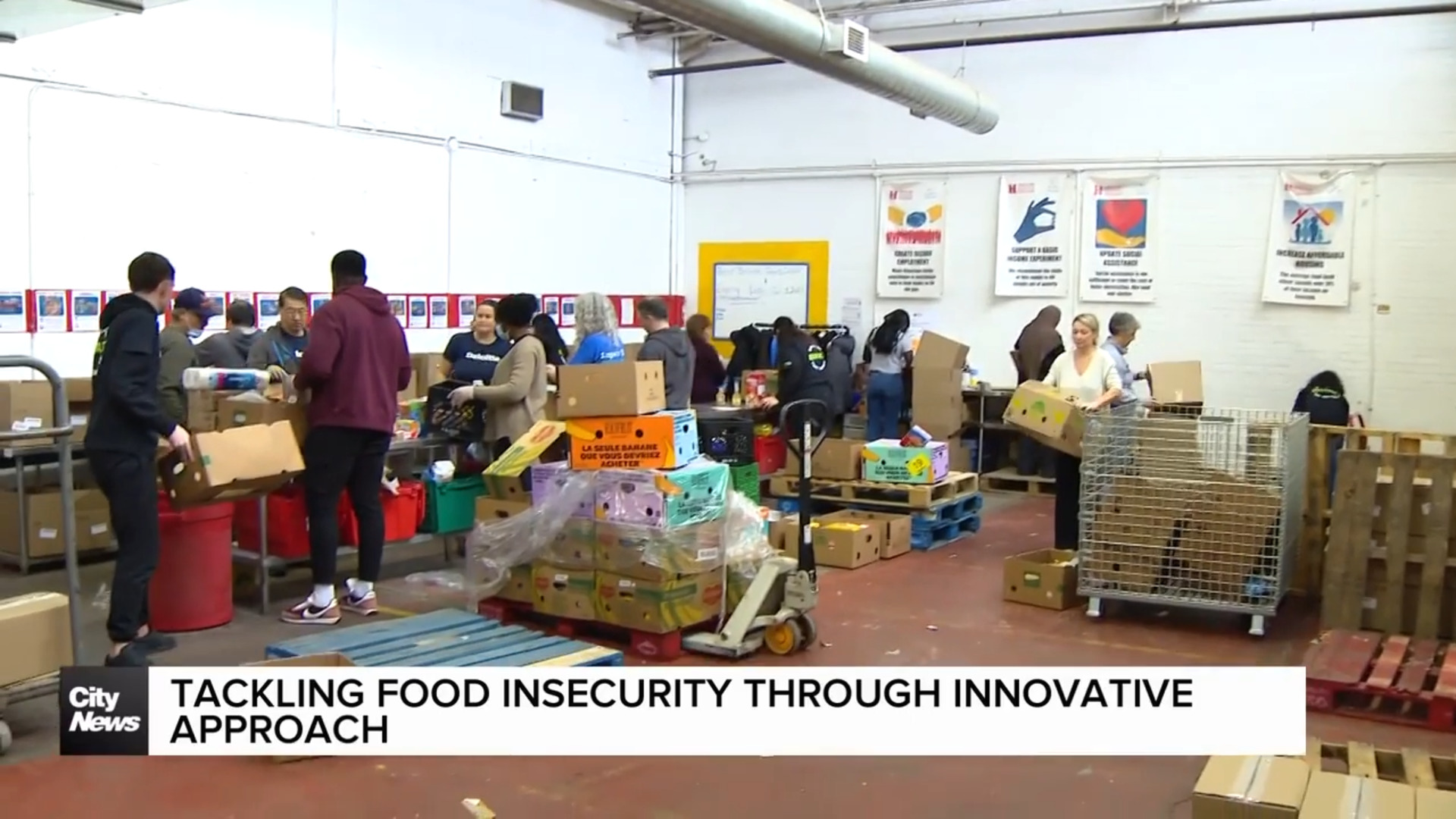 North York Harvest Food Bank tackling food insecurity through innovative approach