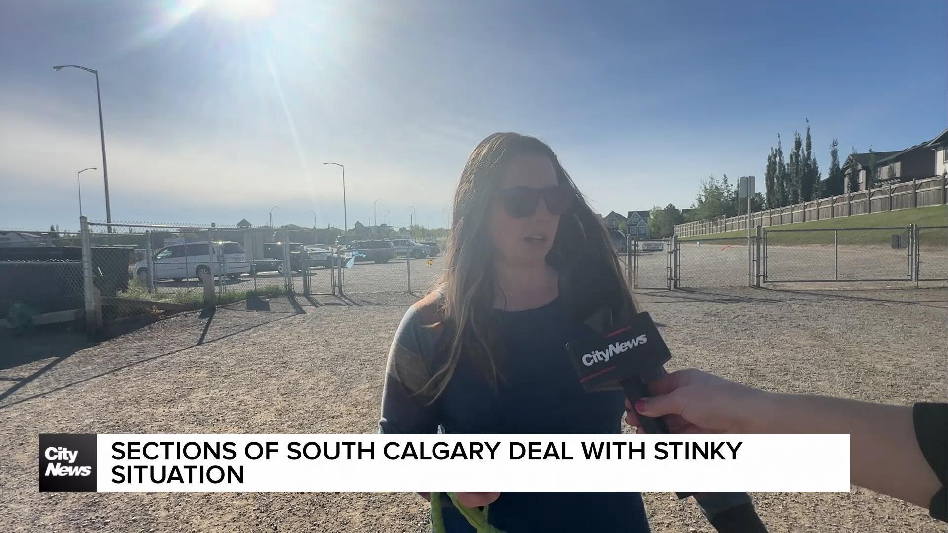 Sections of south Calgary deal with stinky situation