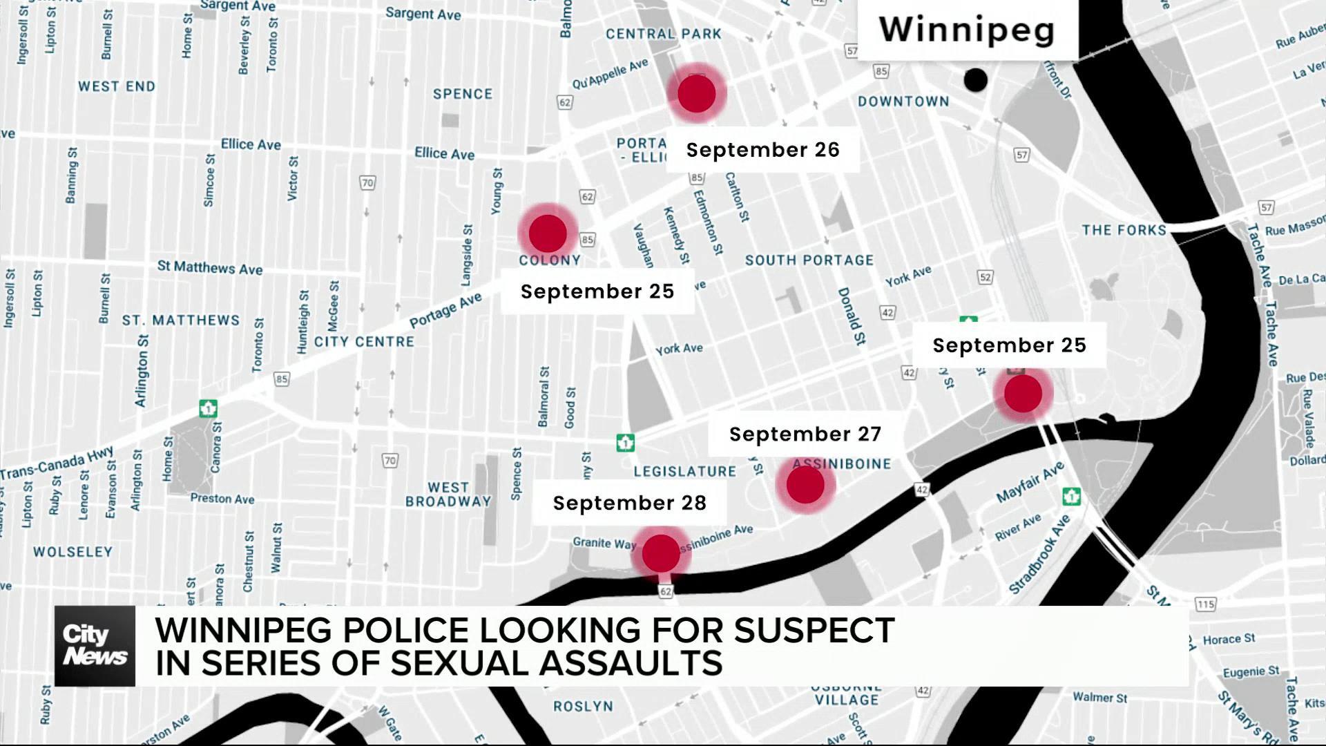 Winnipeg police looking for alleged serial groper