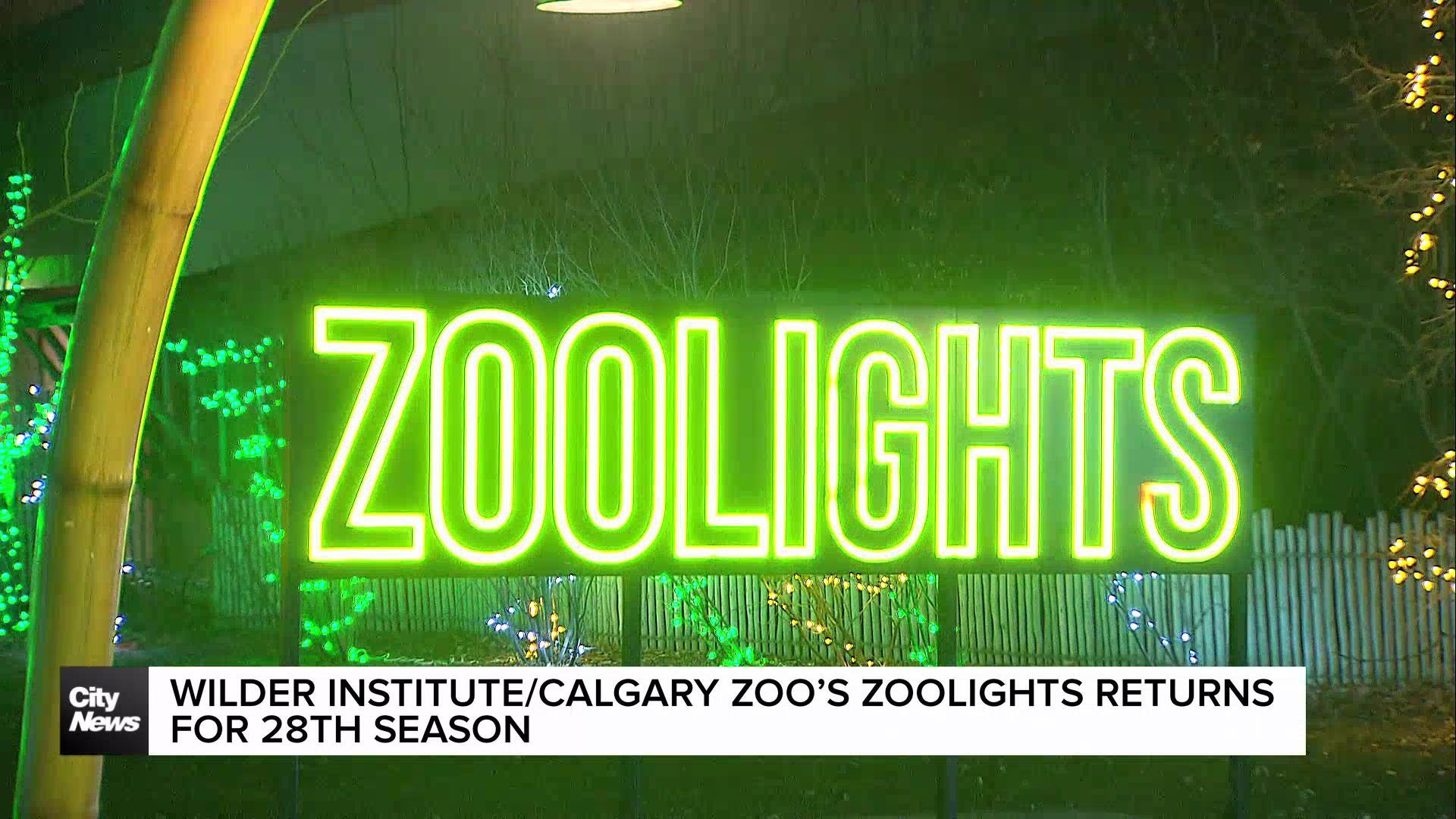 Calgary’s Zoolights returns bigger and brighter