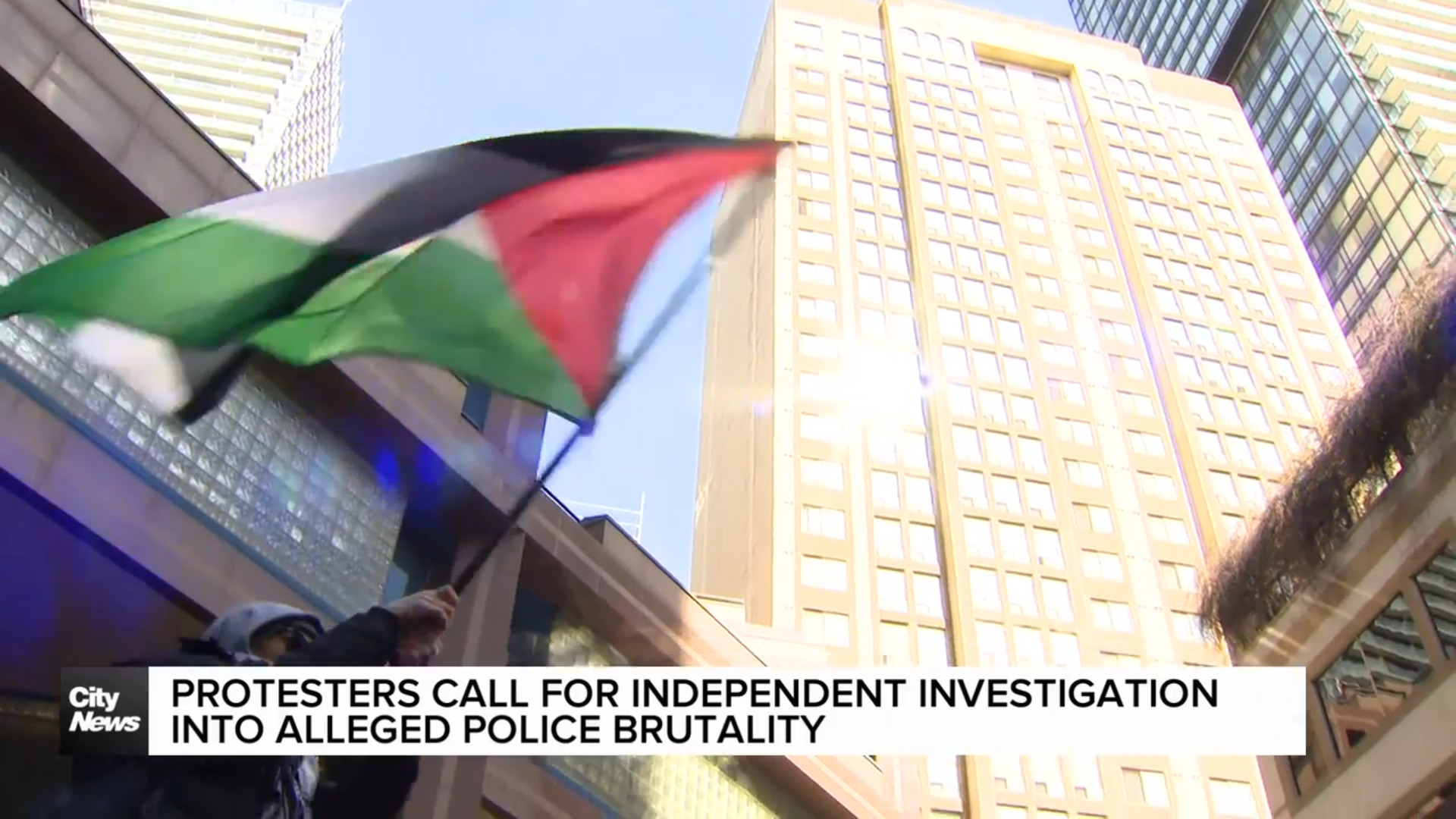 Pro-Palestinian protesters call for investigation into alleged police brutality