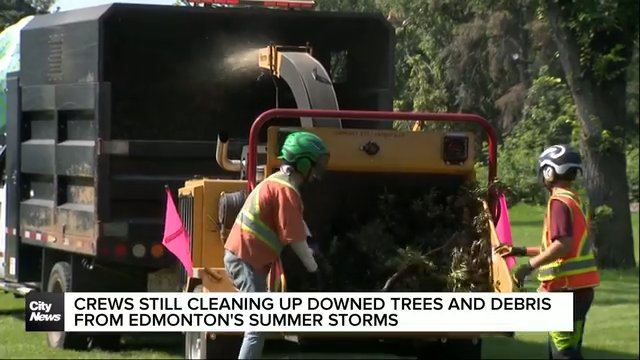 Crews clearing downed trees and debris from Edmonton summer storms