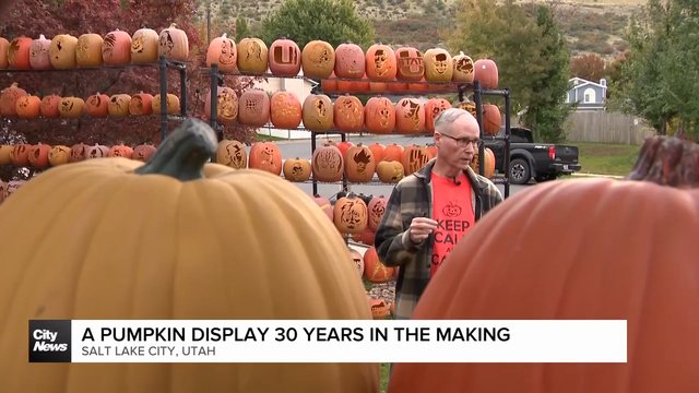 A pumpkin display 30 years in the making
