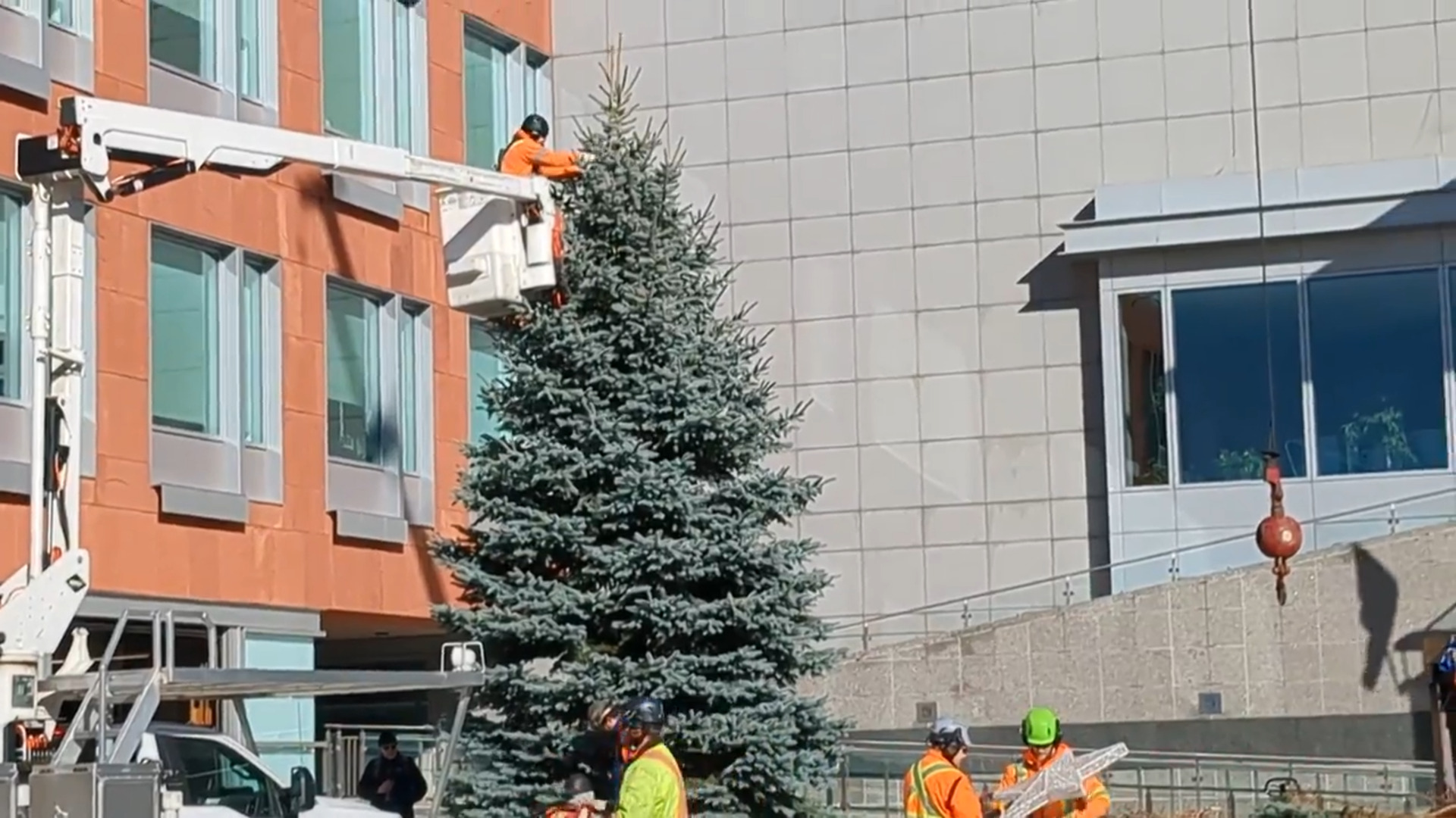 Christmas tree set up in Waterloo Region