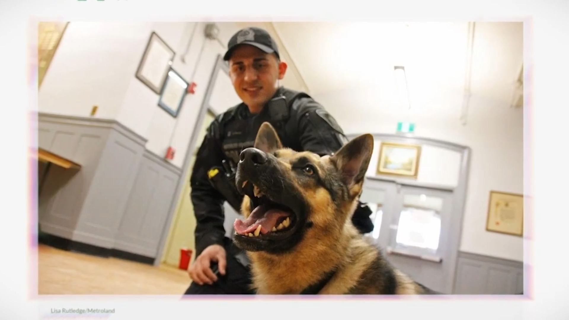 Waterloo Regional Police dog retiring after eight years