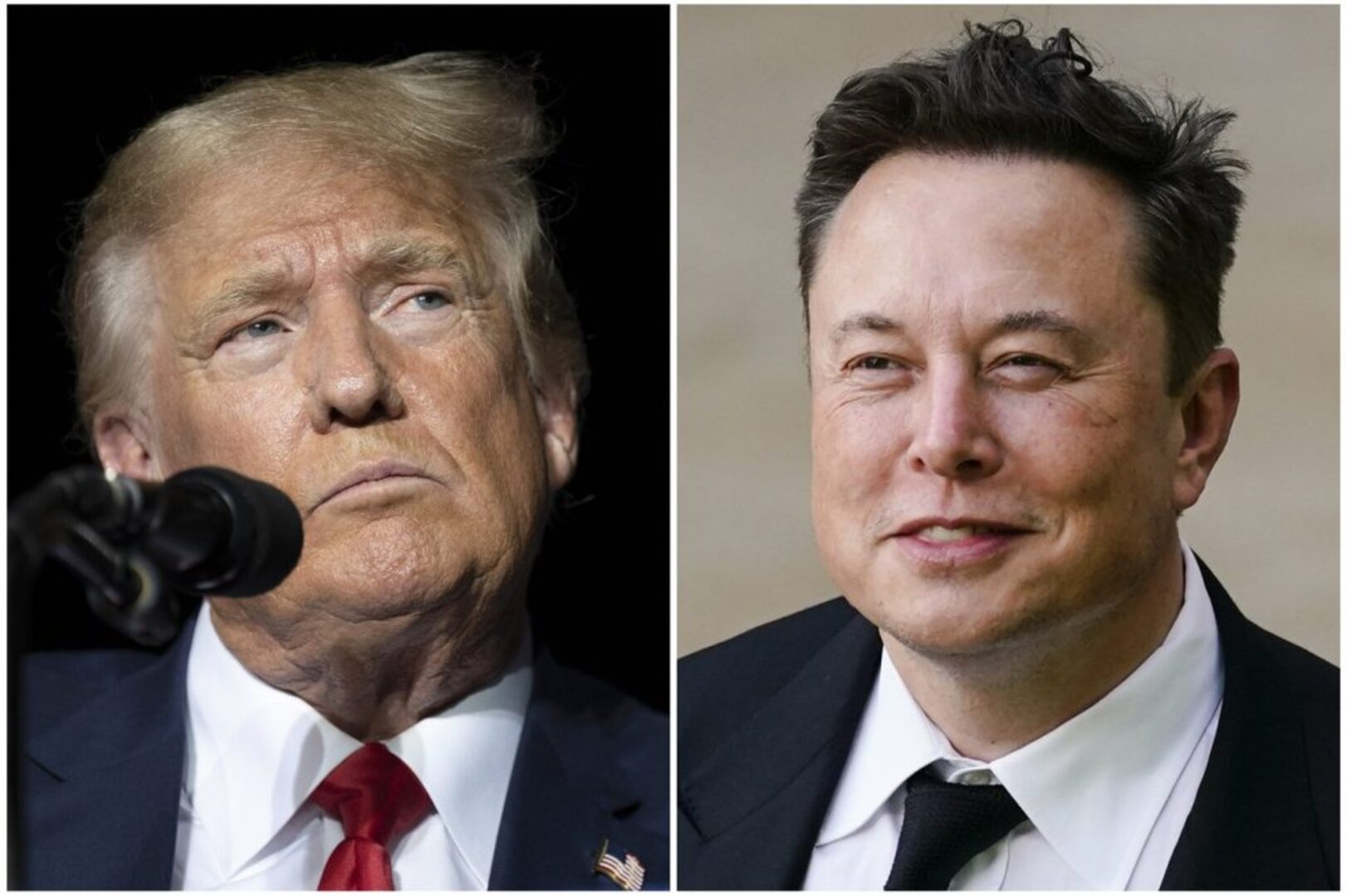 Trump viewing party could include Elon Musk