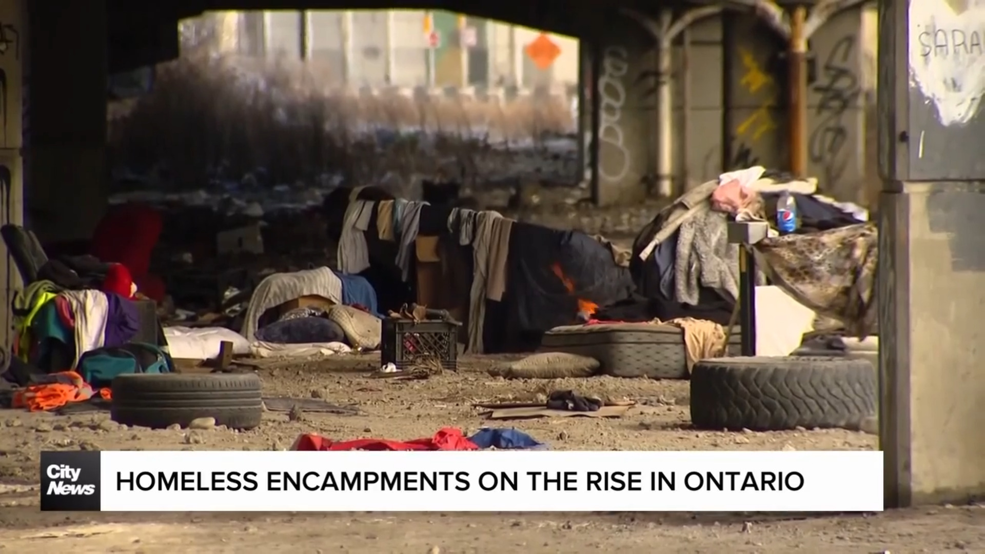 Homeless encampments on the rise in Toronto and across Ontario