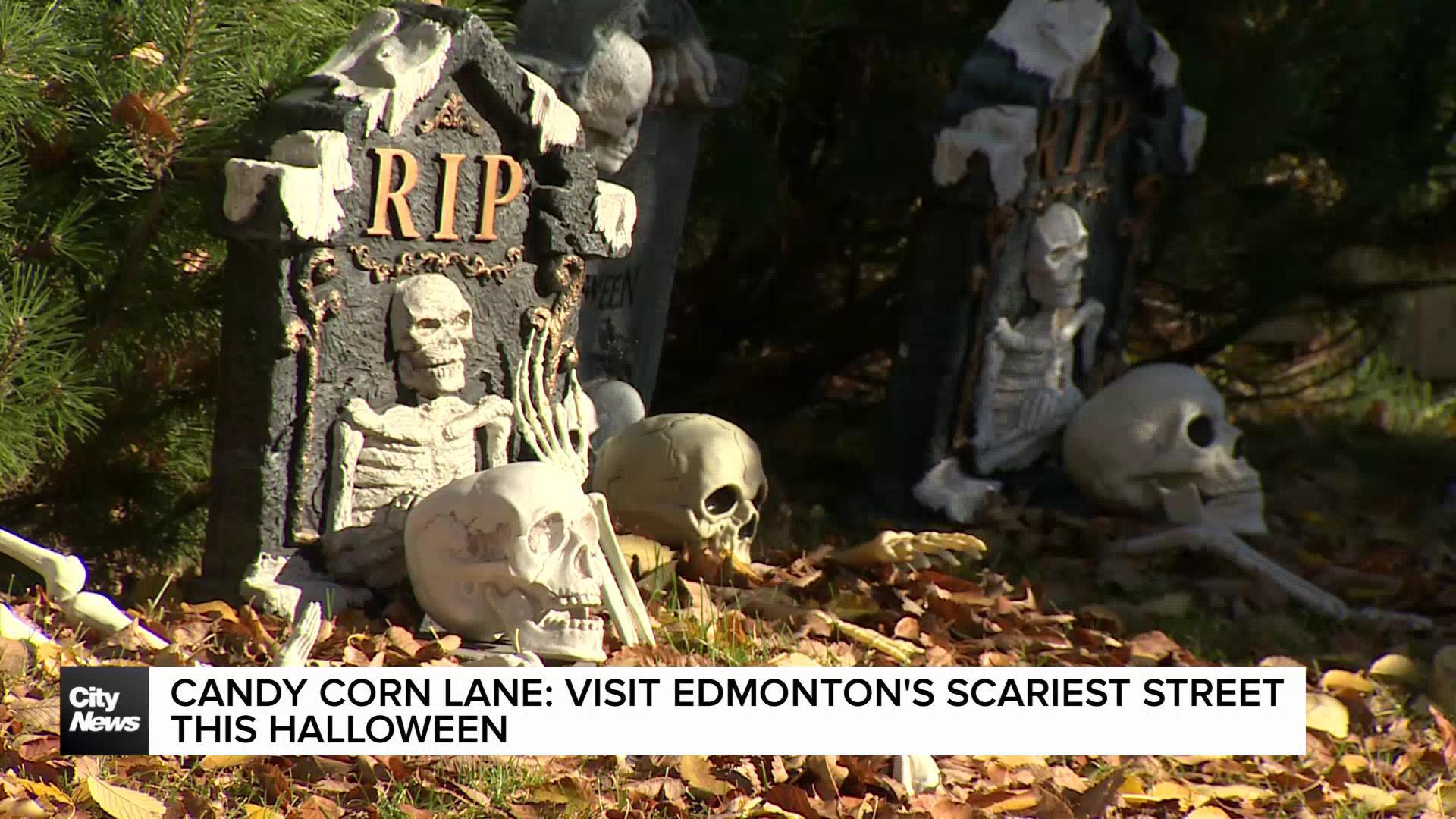 Candy Corn Lane: This is Edmonton’s spookiest street