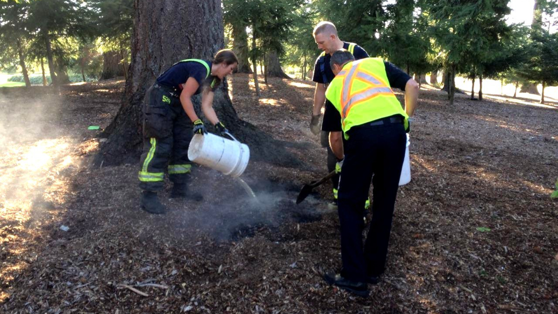 Surrey mayor concerned after hundreds of brush fires