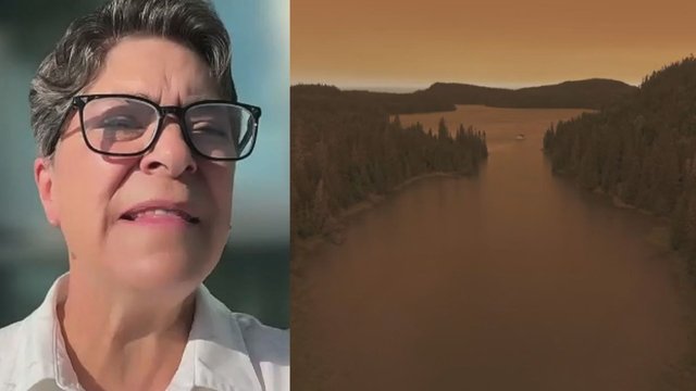 Thunder Bay MPP on lack of wildfire services: 'Worst that we've ever seen'