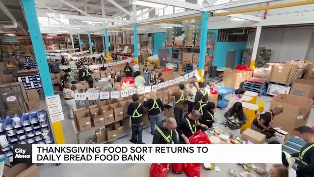 Thanksgiving food sort returns to Daily Bread Food Bank