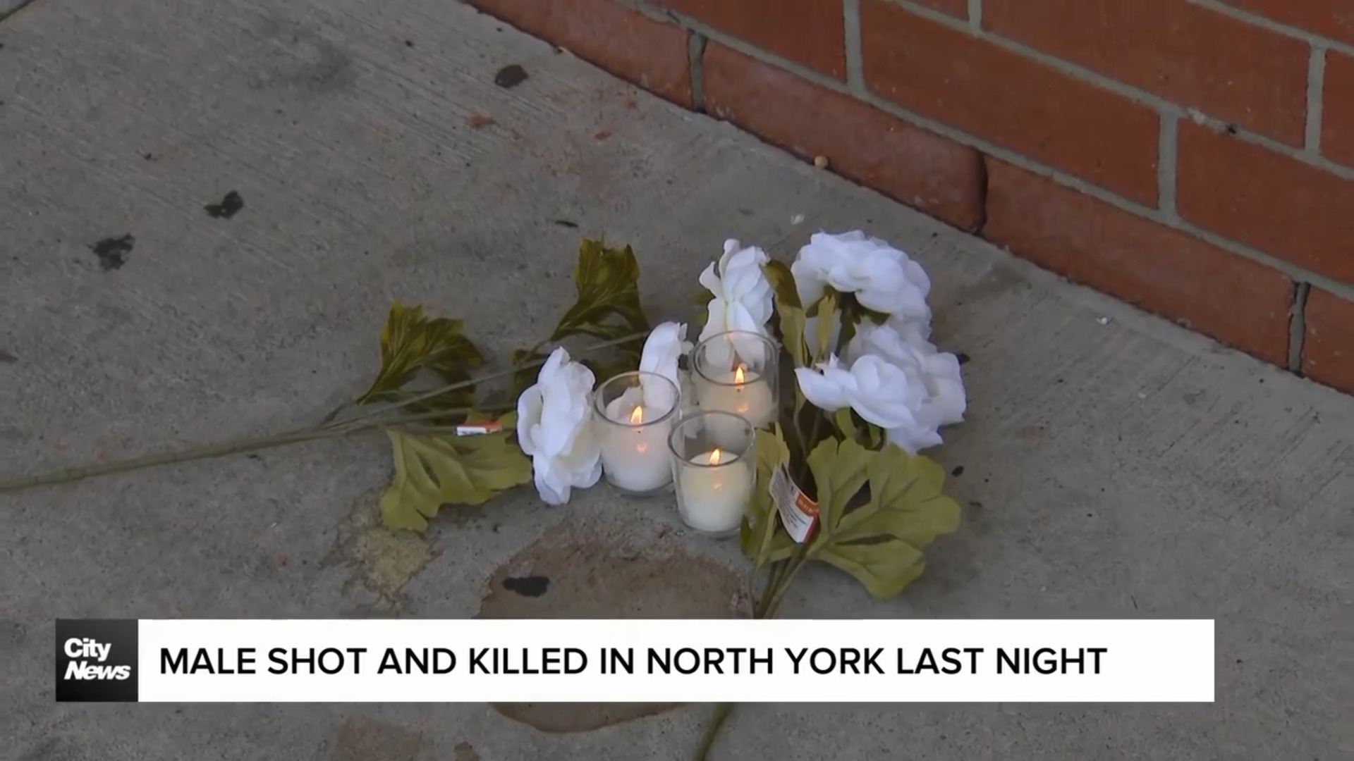 15-year-old boy shot and killed in North York