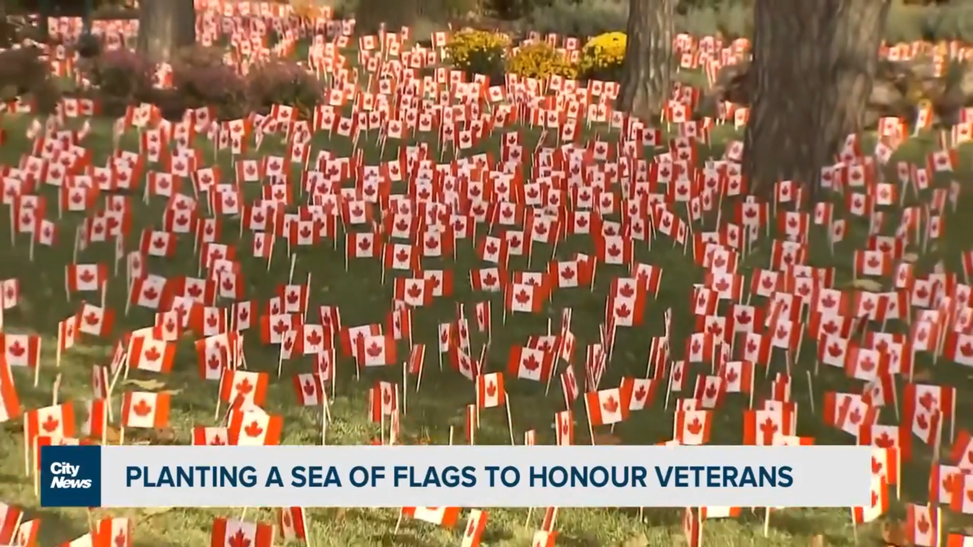 Operation 'Raise A Flag' celebrates 75 years - Video - CityNews