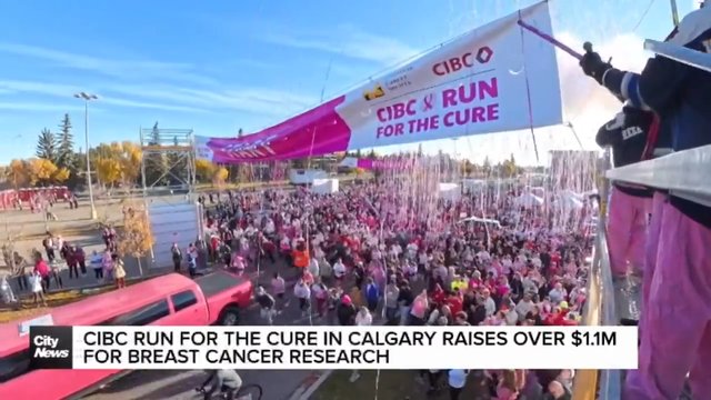 CIBC Run for the Cure in Calgary raises over $1.1M