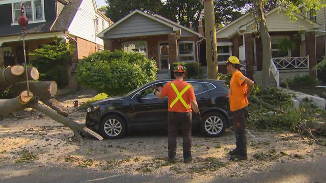 Storm clean up continues in Toronto's east end