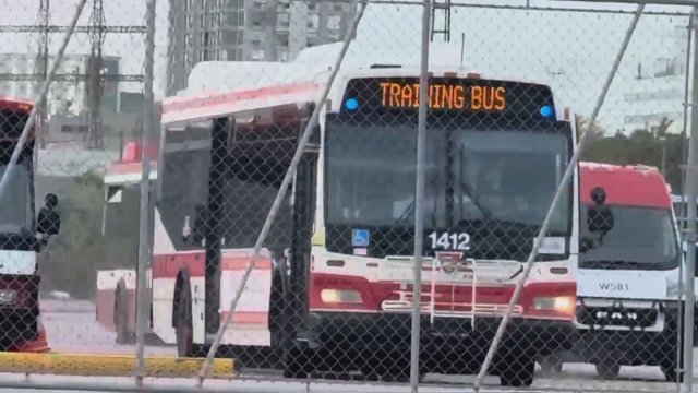 Video shows TTC bus being taken for joyride