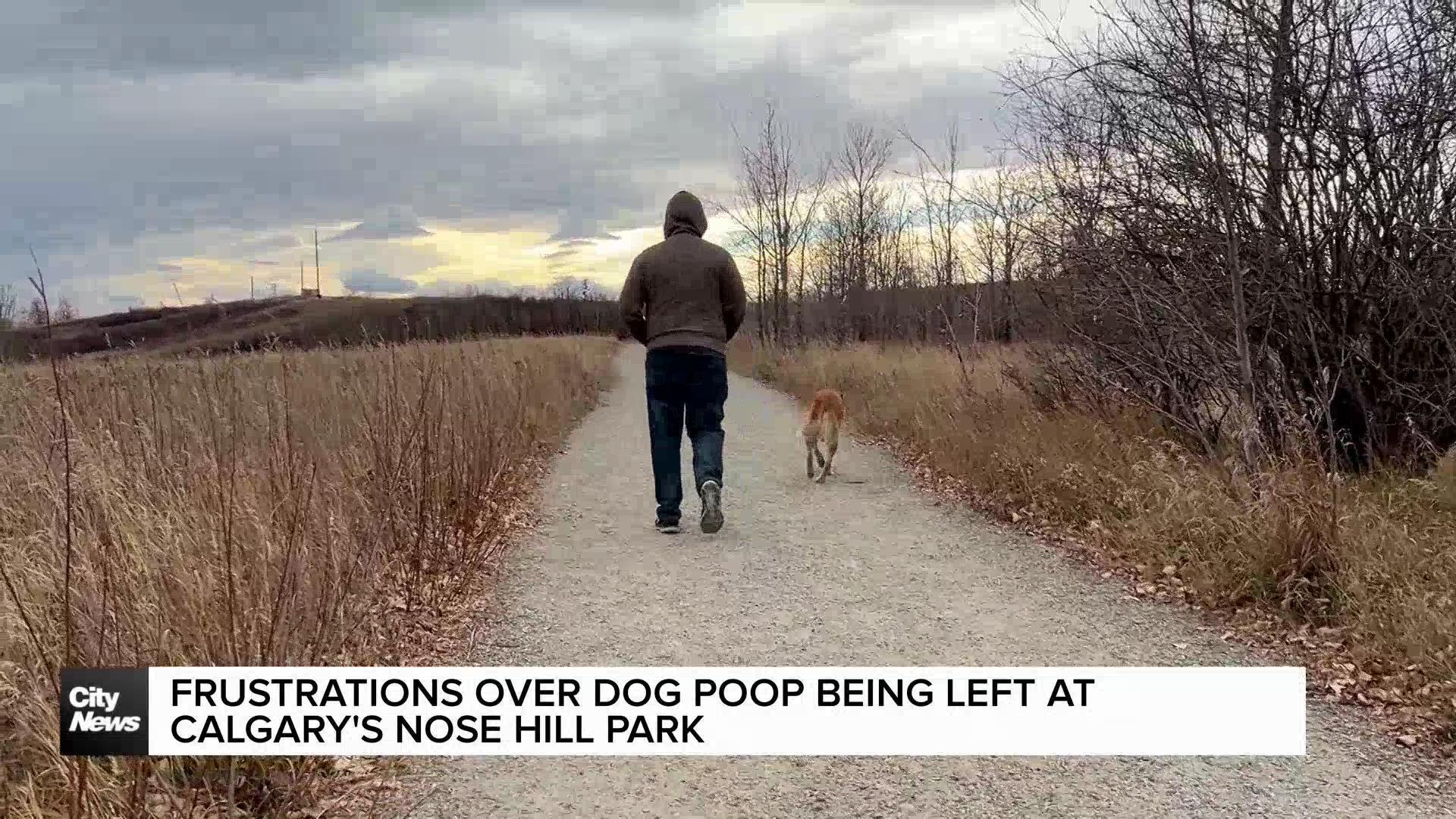 Frustrations over dog poop being left at Calgary’s Nose Hill Park