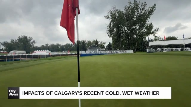 Impacts of Calgary's recent cold, wet weather