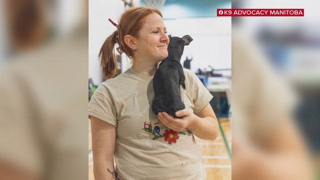 Rally being organized in honour of Amanda Nobiss with calls to address stray dog overpopulation